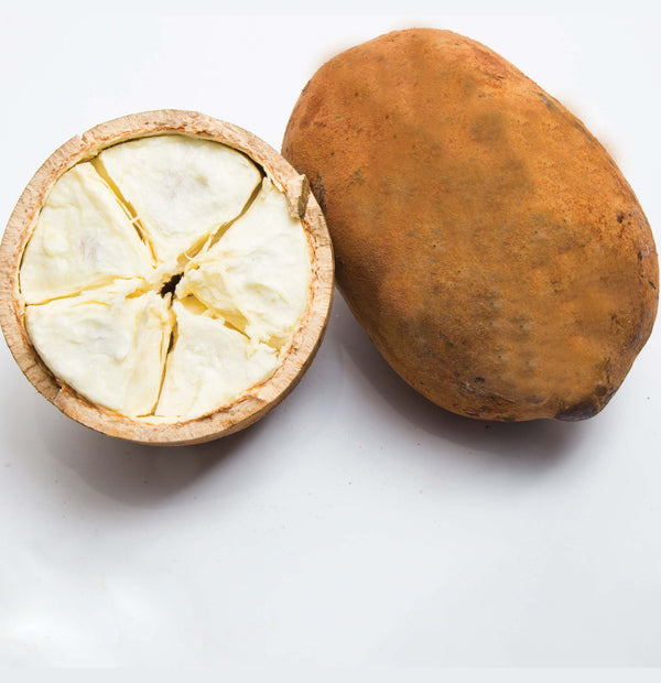 L'anza Butter Whip Styling Foam