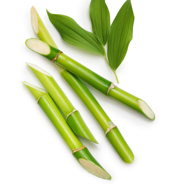 L'anza Healing Volume Final Effects