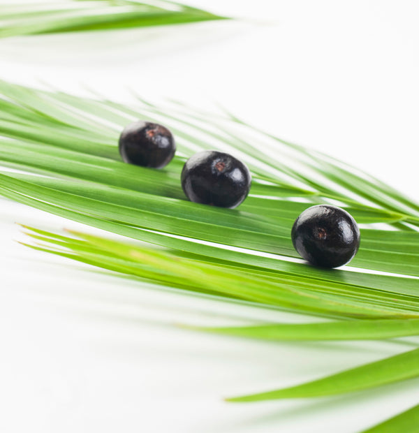 L'anza Intensive Hair Masque