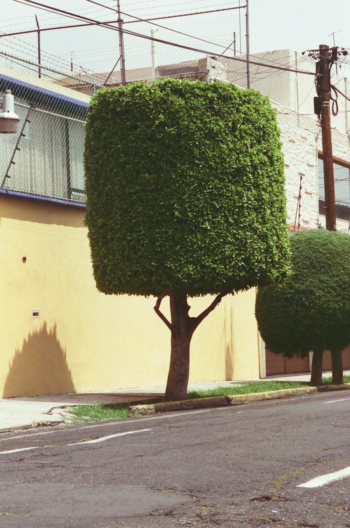 Laser Barcelona DUBBLEFILM TREAT COLOR FILM 400 ISO