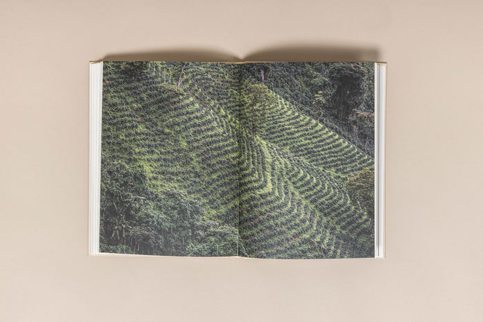 Laser Barcelona ALBA RODRIGUEZ ORIGEN BOOK