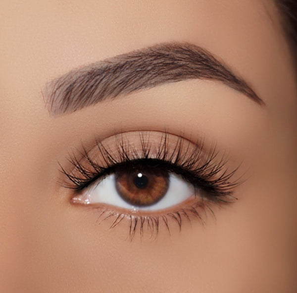 Lash Pop Prim + Proper False Lashes