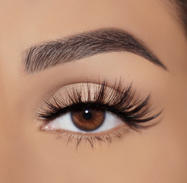 Lash Pop True LoveThe Love Collection False Lashes
