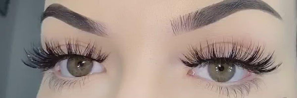 Lash Pop True LoveThe Love Collection False Lashes