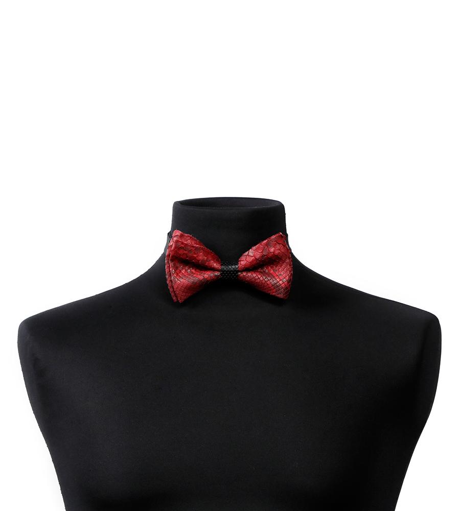laura b Lenny K Bow Tie