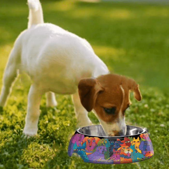Laurel Burch Dogs & More Dogs Pet Bowl