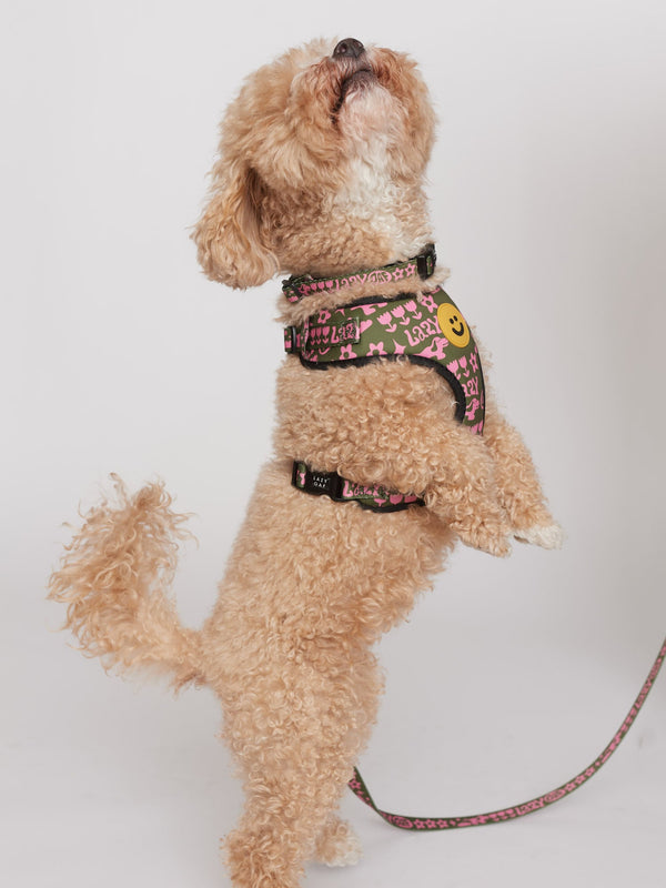 Lazy Oaf Walkies Dog Collar