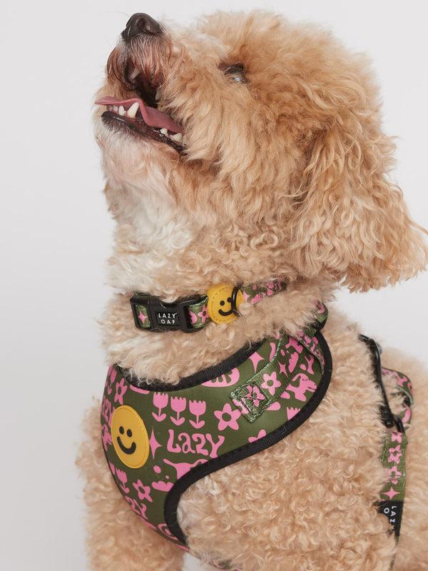 Lazy Oaf Walkies Dog Collar
