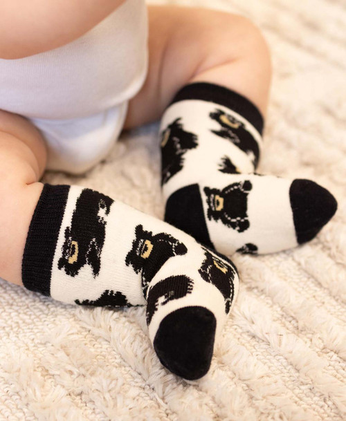 Lazy One Baby Bear Infant Sock