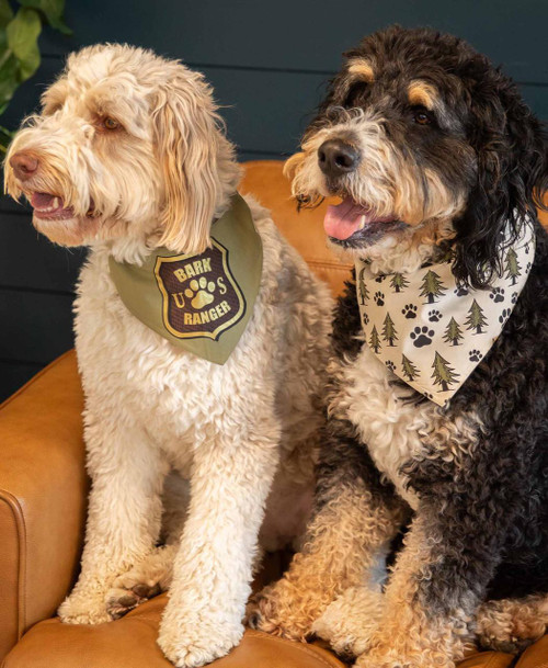 Lazy One Bark Ranger Dog Bandana