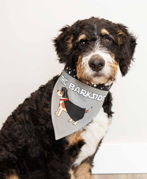 Lazy One Bark Side Dog Bandana