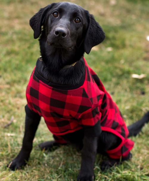 Lazy One Bear Cheeks Plaid Dog Onesie Flapjack
