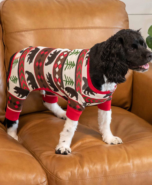 Lazy One Bear Essentials Dog Onesie Flapjack