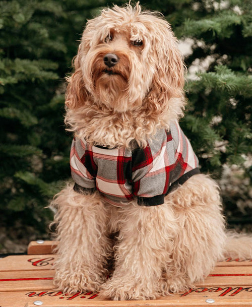 Lazy One Black Plaid Dog Shirt