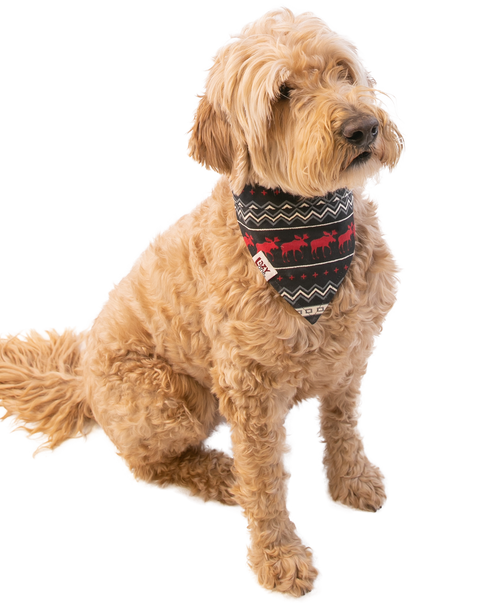 Lazy One Cabin Moose Dog Bandana