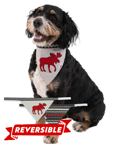 lazy one Cabin Moose Dog Bandana