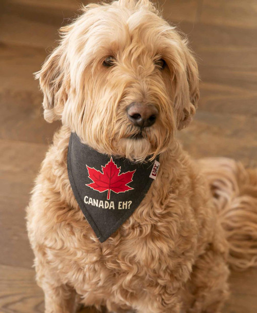 Lazy One Canada Eh? Dog Bandana