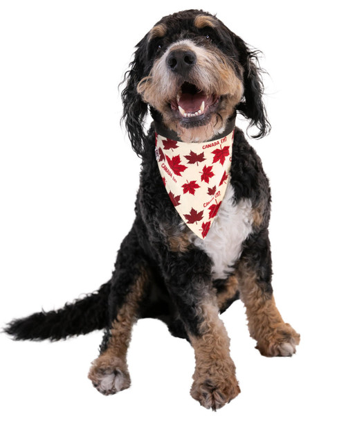 Lazy One Canada Eh? Dog Bandana