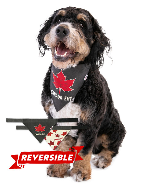 lazy one Canada Eh? Dog Bandana