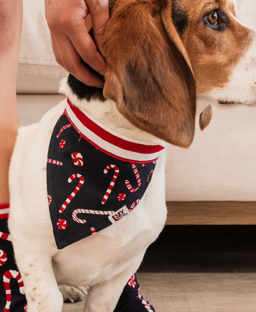 Lazy One Candy Cane Dog Bandana