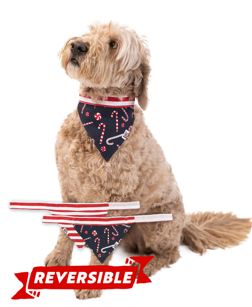 lazy one Candy Cane Dog Bandana