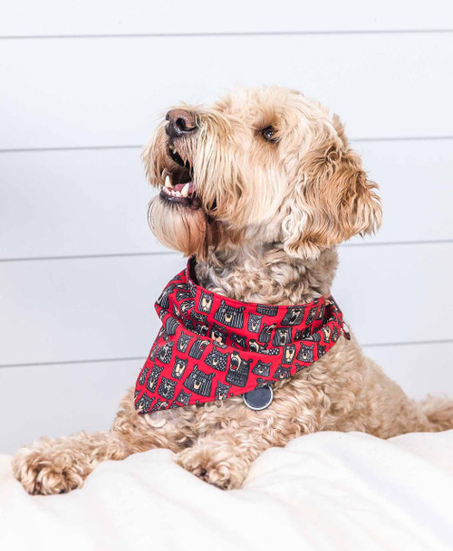 Lazy One Don't Wake The Bear Plaid Dog Bandana