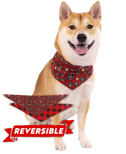 lazy one Don't Wake the Bear Plaid Dog Bandana