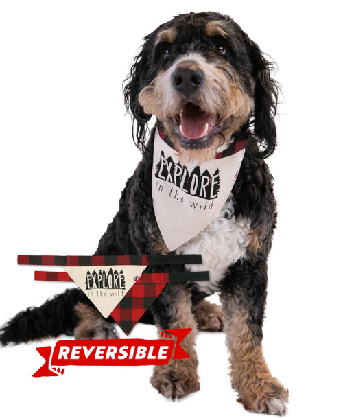 lazy one Explore Wild Dog Bandana