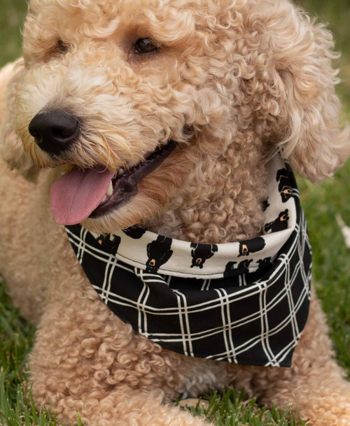 Lazy One Family Bear Dog Bandana