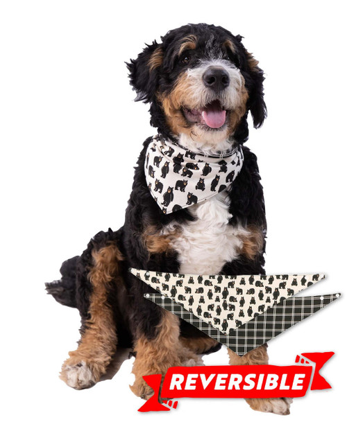 lazy one Family Bear Dog Bandana