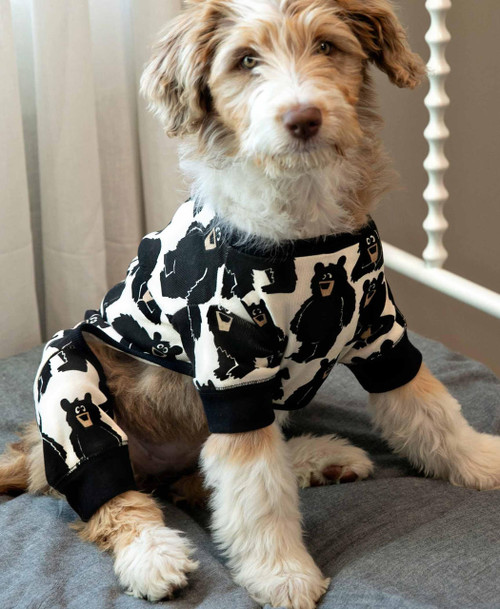 Lazy One Family Bear Dog Onesie Flapjack