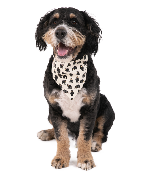 Lazy One Family Bear - Fur Baby Dog Bandana