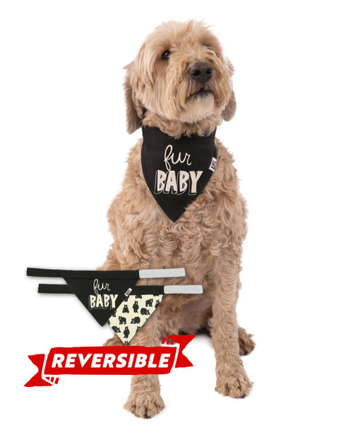 lazy one Family Bear - Fur Baby Dog Bandana