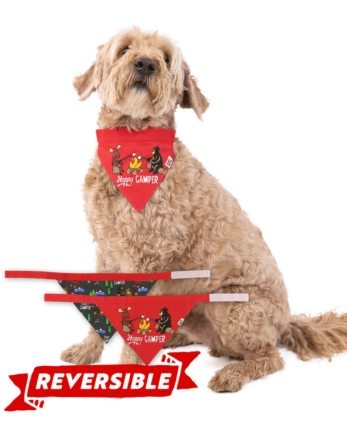lazy one Happy Camper Dog Bandana