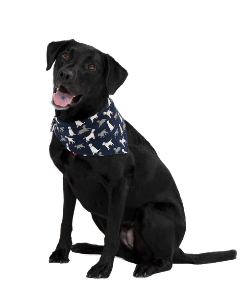 Lazy One Labs Dog Bandana