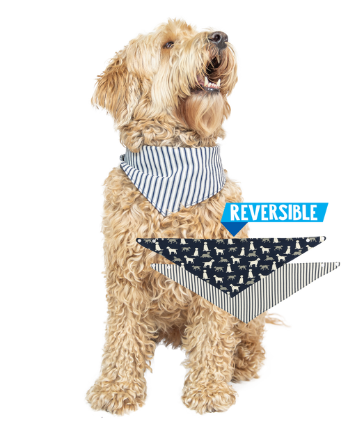 lazy one Labs Dog Bandana