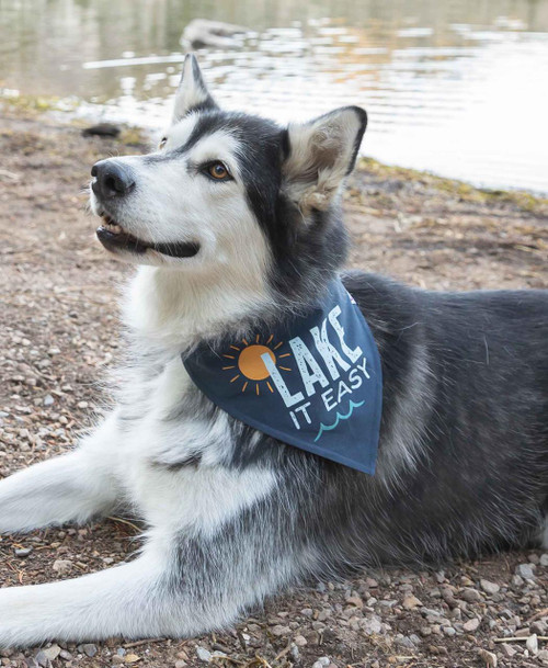 Lazy One Lake It Easy Dog Bandana
