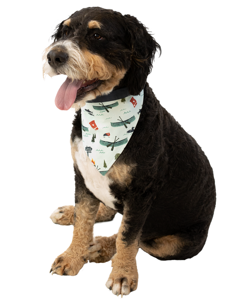 Lazy One Lake It Easy Dog Bandana