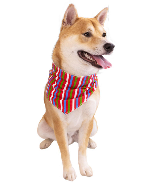 Lazy One Lights Out Dog Christmas Bandana