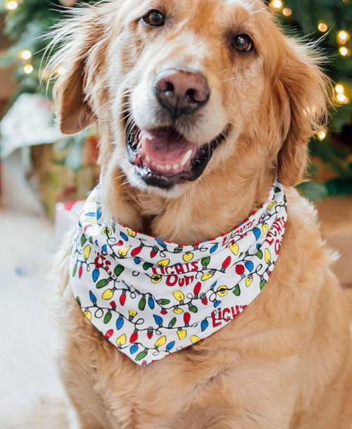 Lazy One Lights Out Dog Christmas Bandana