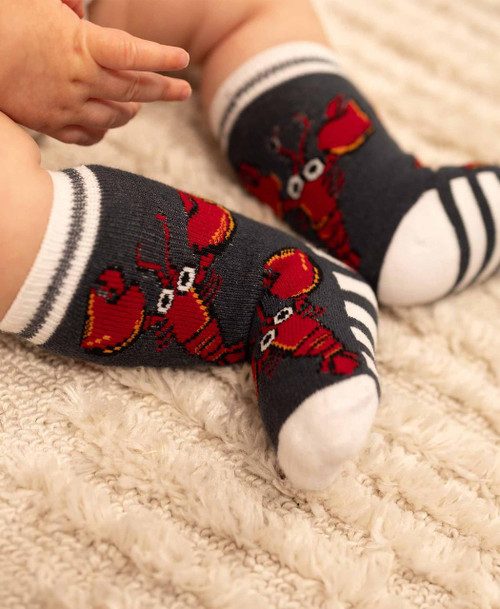Lazy One Lobster Stripe Infant Sock