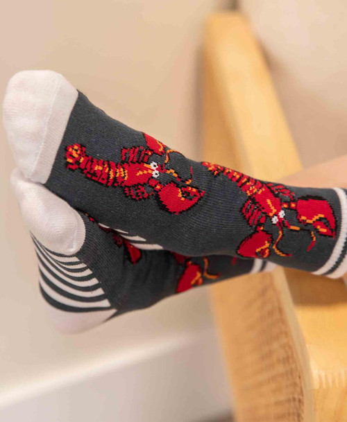 Lazy One Lobster Stripe Kid Sock