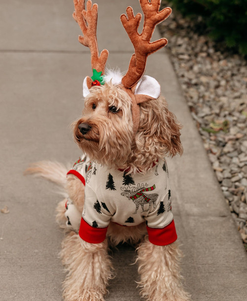 Lazy One Moosletoe Dog Onesie Flapjack