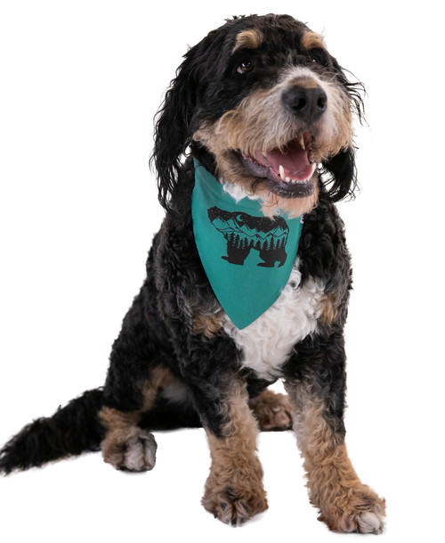 Lazy One Mountain Bear Dog Bandana