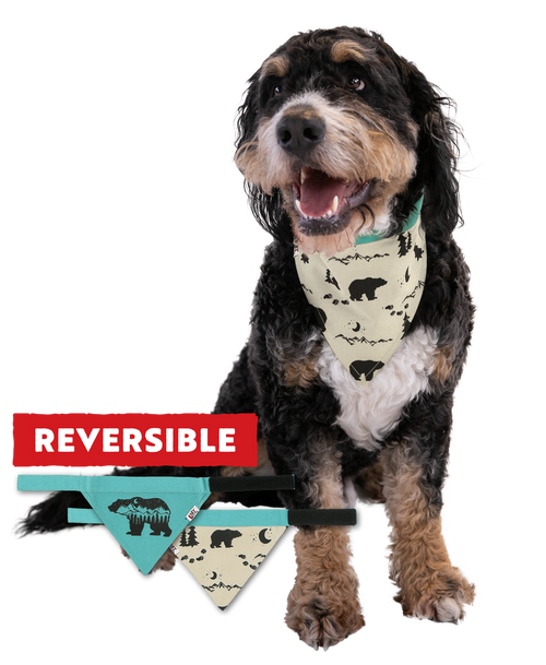 lazy one Mountain Bear Dog Bandana
