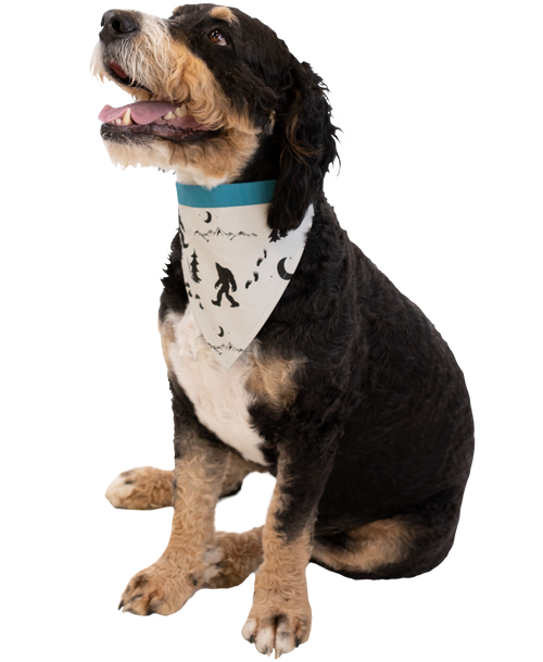 Lazy One Mountain Bigfoot Dog Bandana