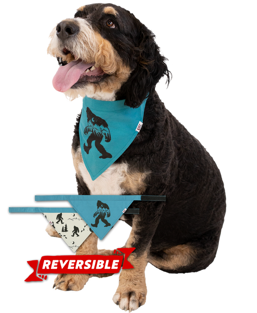 lazy one Mountain Bigfoot Dog Bandana
