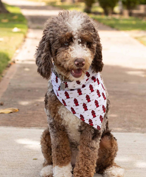 Lazy One Nature Calls Dog Bandana
