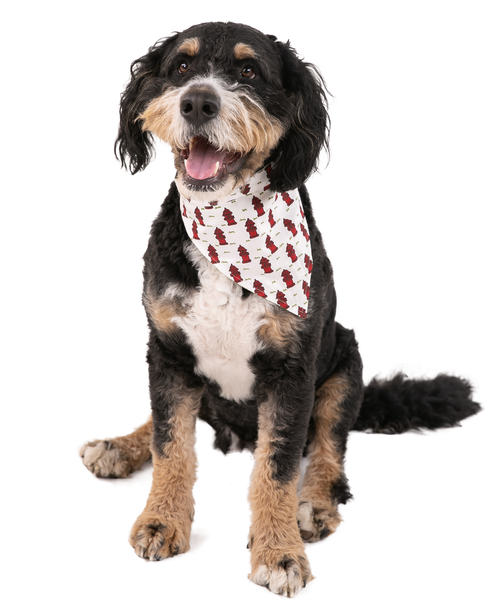 Lazy One Nature Calls Dog Bandana