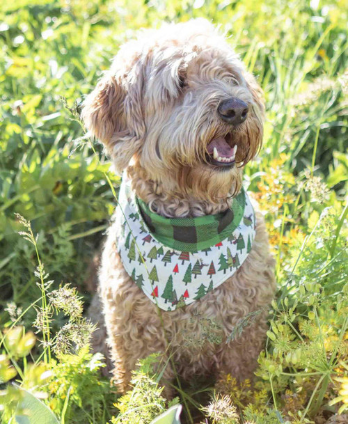 Lazy One No Peeking Dog Christmas Bandana